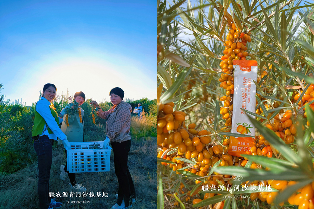 线上线下双轮驱动 疆农源新零售战略赋能加盟商创富